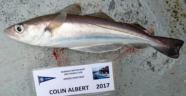 Whiting