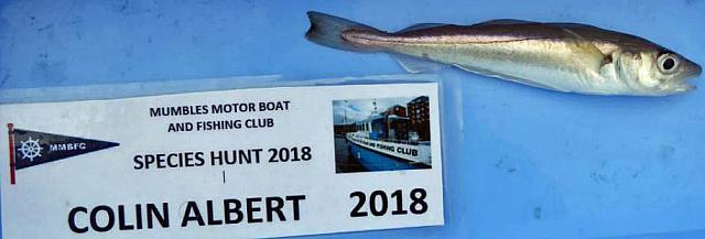 whiting