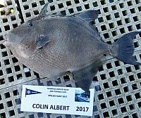 28 August Trigger Fish